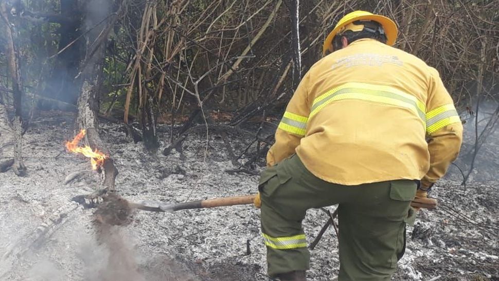 Incendios Forestales En Jujuy Intensa Lucha En Las Yungas