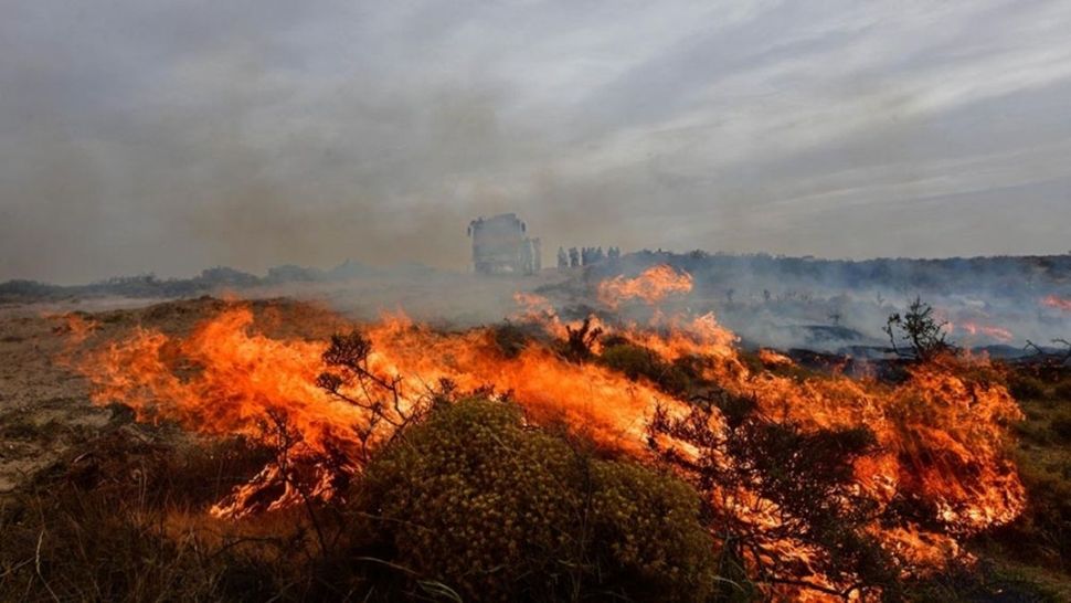 Puerto Madryn los incendios ya arrasaron 90 mil hectáreas