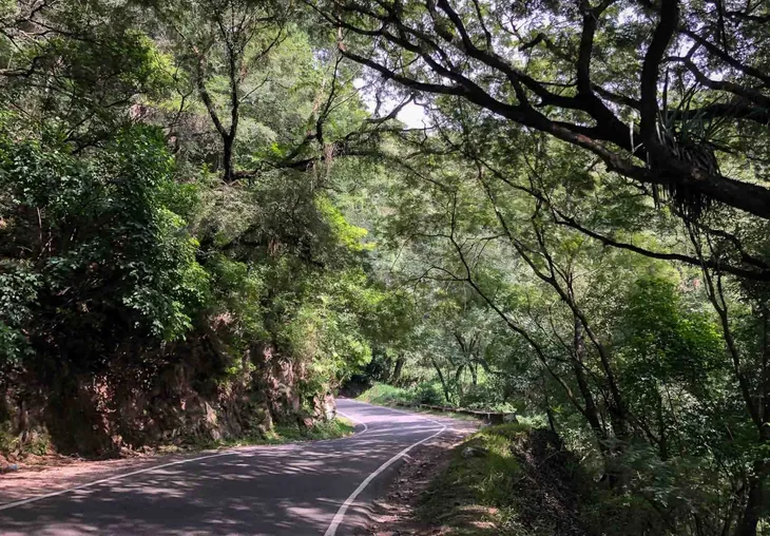 As Son Los Mejores Bosques De Argentina D Nde Quedan