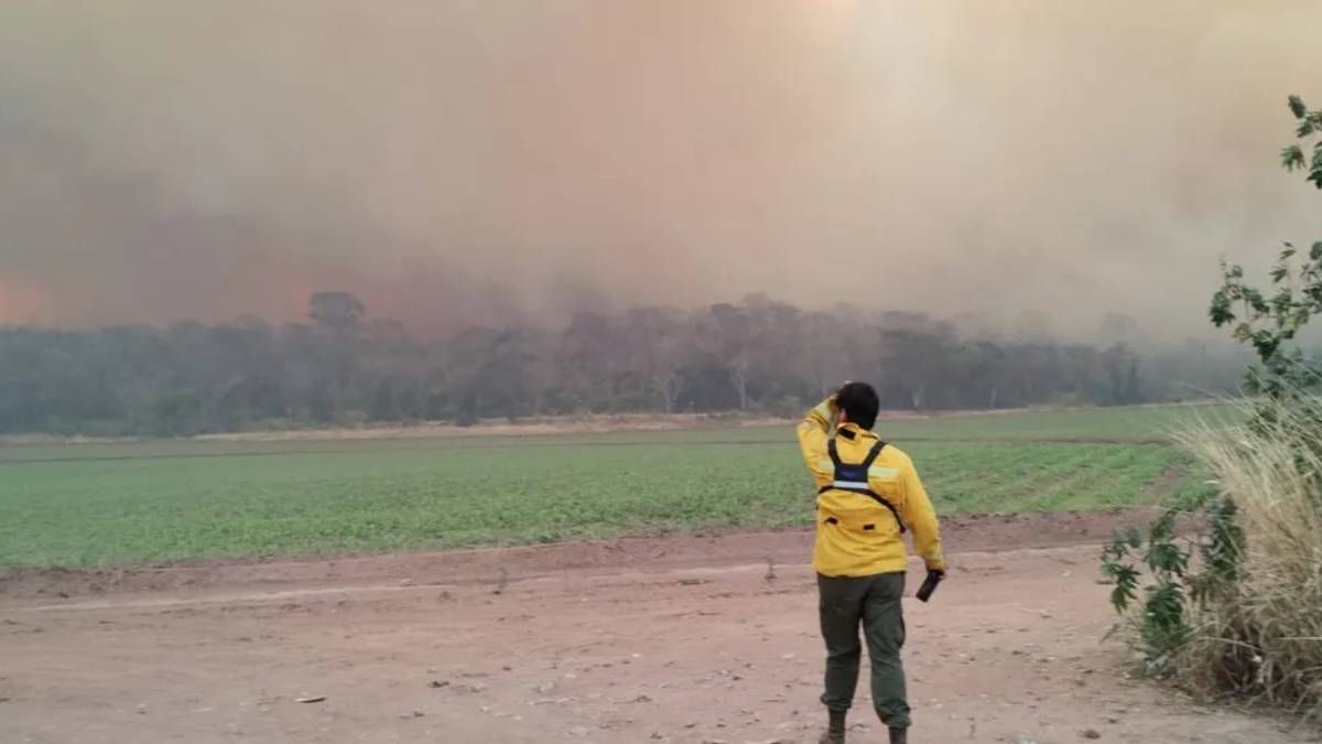 Incendios Forestales Llegar N A Jujuy M S De Brigadistas