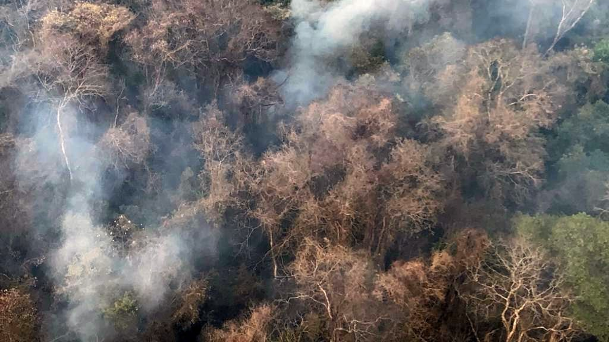 Jujuy Siguen Avanzando Los Incendios Forestales