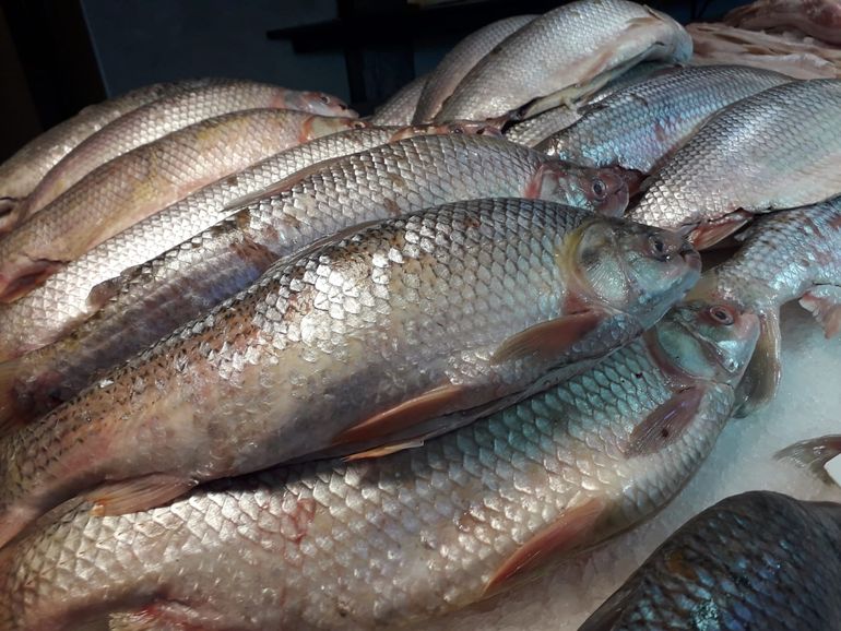 Semana Santa cuál es el precio del pescado en Jujuy