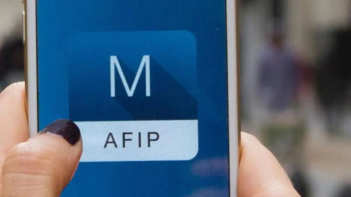 Afip Medidas Que Son Un Alivio Fiscal Para Monotributistas