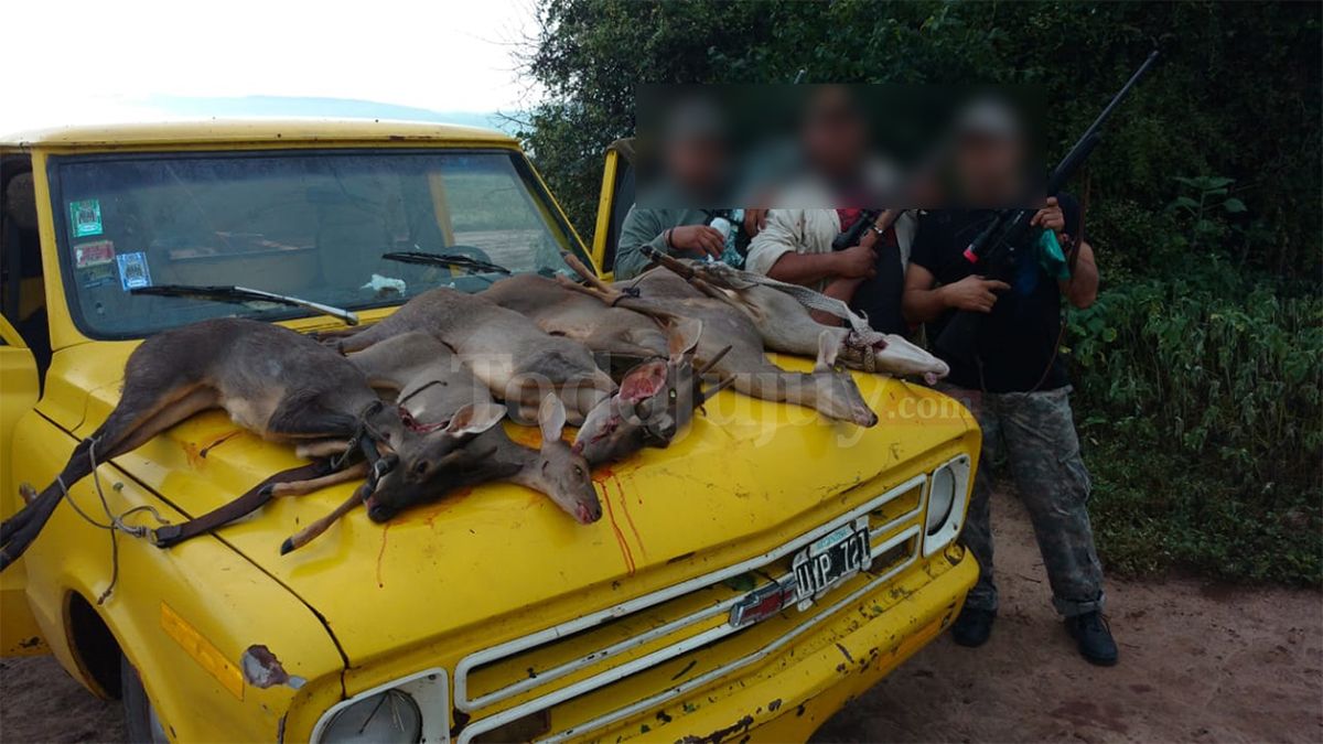 San Pedro Detienen A Tres Cazadores Furtivos Con Armas Pieles Y