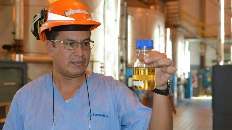 Ledesma produjo cerca de 270 toneladas de aceites esenciales