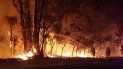 hicieron asado, provocaron un incendio y ahora deben pagar una multa millonaria hicieron asado, provocaron un incendio y ahora deben pagar una multa millonaria
