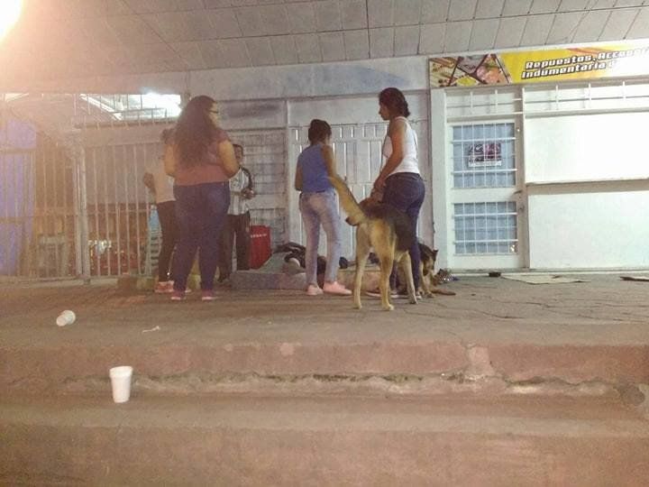 El grupo Zoom ayudando