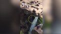 intentaba sacarse una selfie y murio al caer de un barranco intentaba sacarse una selfie y murio al caer de un barranco