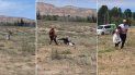 estaban en un festival de aves y un aguila atrapo a una nena de 8 anos estaban en un festival de aves y un aguila atrapo a una nena de 8 anos