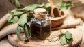 cannabis medicinal: durante el transcurso del 2019 jujuy podria estar produciendolo cannabis medicinal: durante el transcurso del 2019 jujuy podria estar produciendolo