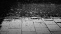 alerta en jujuy: preven lluvias y tormentas fuertes en el centro y este de la provincia alerta en jujuy: preven lluvias y tormentas fuertes en el centro y este de la provincia