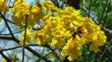 la primavera se anuncia con tiempo agradable en jujuy la primavera se anuncia con tiempo agradable en jujuy