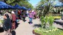 confirmado: este sabado vuelve la feria de las plantas confirmado: este sabado vuelve la feria de las plantas