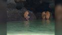 extranas criaturas aparecieron en una playa haciendo un ritual y asustaron a los turistas extranas criaturas aparecieron en una playa haciendo un ritual y asustaron a los turistas