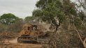 las destrucciones de ecosistemas podran provocar nuevas pandemias las destrucciones de ecosistemas podran provocar nuevas pandemias