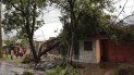 casi termina en tragedia: no escucharon sus reclamos y un arbol cayo sobre su casa casi termina en tragedia: no escucharon sus reclamos y un arbol cayo sobre su casa