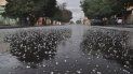alerta meteorologico por tormentas fuertes y caida de granizo en jujuy alerta meteorologico por tormentas fuertes y caida de granizo en jujuy