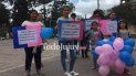 en jujuy marcharon contra la ideologia de genero en plaza belgrano en jujuy marcharon contra la ideologia de genero en plaza belgrano