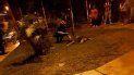 vecinos denuncian que dos perros se electrocutaron con un poste de luz en una plaza vecinos denuncian que dos perros se electrocutaron con un poste de luz en una plaza