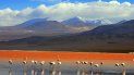 la laguna y el volcan vilama, dos maravillas en la frontera de jujuy con bolivia y chile la laguna y el volcan vilama, dos maravillas en la frontera de jujuy con bolivia y chile