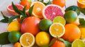 prohibieron el ingreso de citricos en todo el noa prohibieron el ingreso de citricos en todo el noa