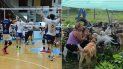 jujuy voley recibe a paracao y juntara alimento para los perros del hogar san roque jujuy voley recibe a paracao y juntara alimento para los perros del hogar san roque