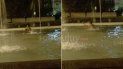 ¡inconscienca! se banaron en la fuente de la plaza belgrano cerca de las conexiones de luz ¡inconscienca! se banaron en la fuente de la plaza belgrano cerca de las conexiones de luz