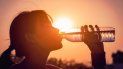 alerta en jujuy: guia practica para evitar un golpe de calor alerta en jujuy: guia practica para evitar un golpe de calor
