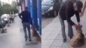 arrastraba a su perro por la calle, lo abandono y aun asi el animal queria seguirlo arrastraba a su perro por la calle, lo abandono y aun asi el animal queria seguirlo
