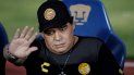 maradona no ve a la seleccion: ¿argentina? no veo peliculas de terror maradona no ve a la seleccion: ¿argentina? no veo peliculas de terror