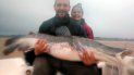 pescaron un surubi de 40 kilos y lo devolvieron al rio pescaron un surubi de 40 kilos y lo devolvieron al rio