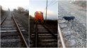 un tren freno de golpe y salvo de milagro a un perrito que estaba encadenado a las vias un tren freno de golpe y salvo de milagro a un perrito que estaba encadenado a las vias