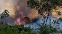 los fuegos en el amazonas son causados por la deforestacion para ganaderia los fuegos en el amazonas son causados por la deforestacion para ganaderia