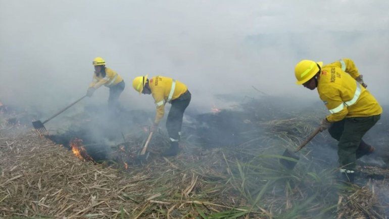 incendios forestales en Jujuy