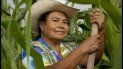 jujuy es la provincia con mayor cantidad de mujeres al frente de explotaciones agropecuarias jujuy es la provincia con mayor cantidad de mujeres al frente de explotaciones agropecuarias