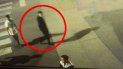 crimen de fernando: un nuevo video muestra como escapaban los rugbiers crimen de fernando: un nuevo video muestra como escapaban los rugbiers