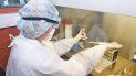 coronavirus: sera obligatorio informar sobre los casos sospechosos coronavirus: sera obligatorio informar sobre los casos sospechosos