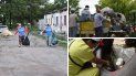Lucha contra el mosquito Lucha contra el mosquito