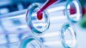 Más personas muertas por coronavirus Más personas muertas por coronavirus