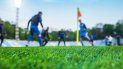 Entrenamientos, campeonato y Copa Libertadores Entrenamientos, campeonato y Copa Libertadores