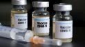 argentina fue seleccionada para probar una vacuna contra el coronavirus argentina fue seleccionada para probar una vacuna contra el coronavirus