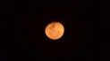 los incendios forestales tineron de rojo la luna los incendios forestales tineron de rojo la luna