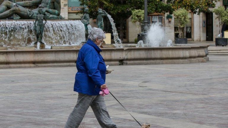 La importancia del paseo de los animales