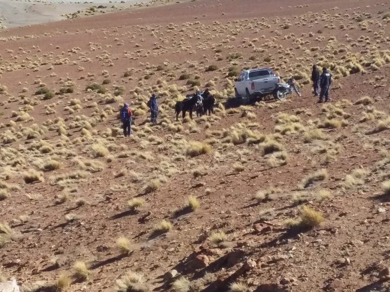 Operativo - Transportaban 11 cueros de vicuña - Puna Jujeña