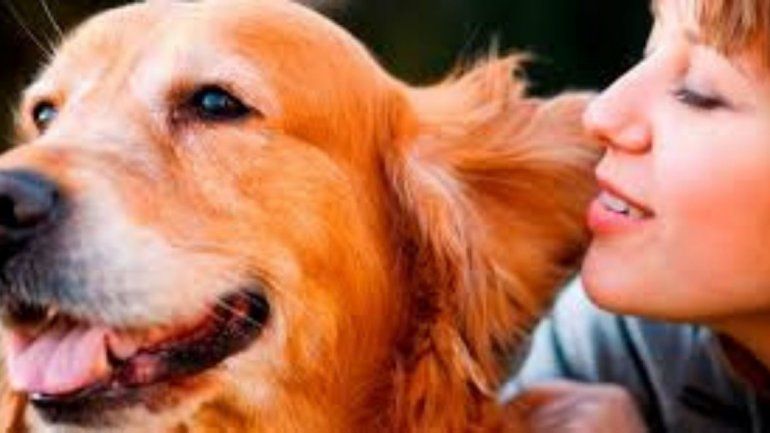 Especialistas brindaron recomendaciones para el cuidado de la salud mental de los canes.