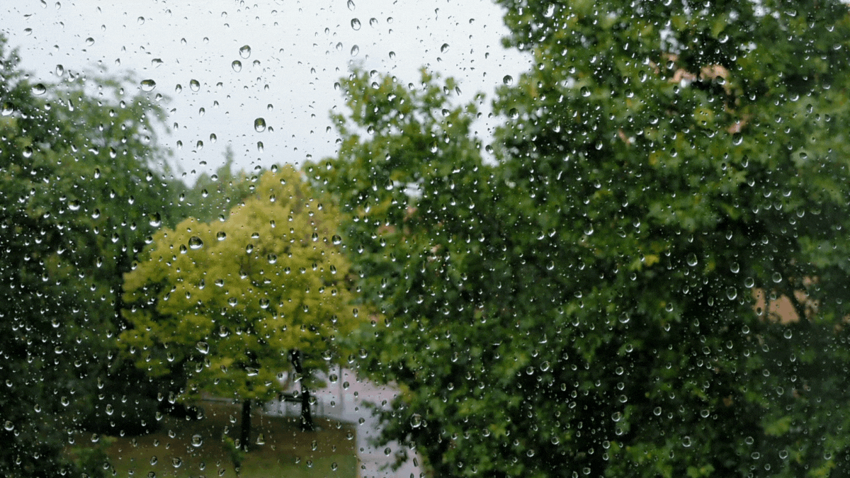 Pronostican lluvias para las próximas horas en Jujuy: cómo va a seguir el clima Pronostican lluvias para las próximas horas en Jujuy: cómo va a seguir el clima