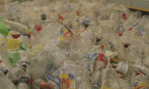 Puntos verdes en San Salvador de Jujuy para dejar residuos plásticos