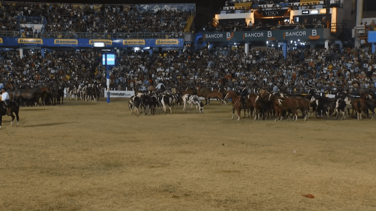 Jujuy vuelve al Festival de Jesús María y presentará cinco jinetes en competencia