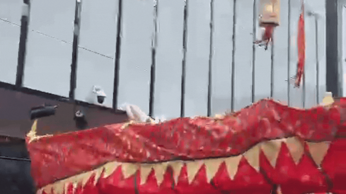 Animal caracteristico del Año Nuevo Chino en Jujuy.