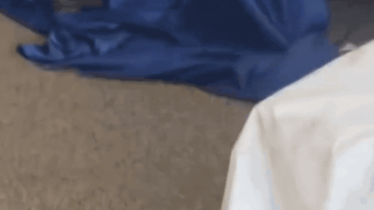 Bomberos rescataron una serpiente en pleno salón de la EET N°1 de Monterrico Bomberos rescataron una serpiente en pleno salón de la EET N°1 de Monterrico